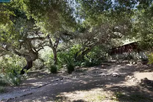 12 Marquard Rd, Carmel Valley, CA 93924 - Photo 4