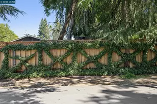 699 Terry Ln, Danville, CA 94526 - Photo 76