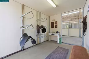 295 Pine Creek Rd, Walnut Creek, CA 94598 - Photo 72