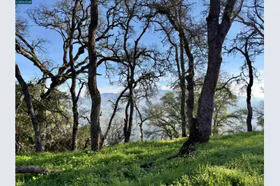 0 Castle Crest Rd, Alamo, CA 94507 - Photo 12