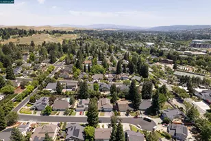 87 Lone Pine Ct, San Ramon, CA 94582 - Photo 48
