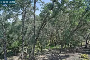 3017 Grey Eagle Dr, Walnut Creek, CA 94595 - Photo 20