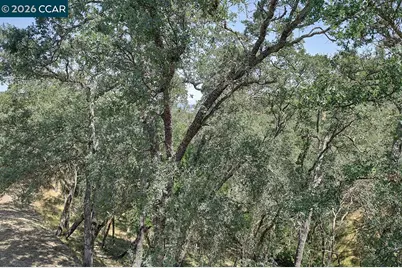 3017 Grey Eagle Dr, Walnut Creek, CA 94595 - Photo 16