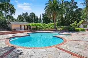 25 Amberwood Ln, Walnut Creek, CA 94598 - Photo 28