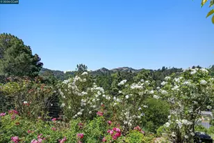 136 Ardith Dr, Orinda, CA 94563 - Photo 32