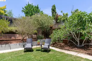 223 Park View Ave, Piedmont, CA 94610 - Photo 38