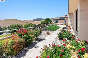 3301 Deer Hollow Dr, Danville, CA 94506 - Photo 92