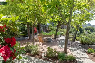 295 Gravatt Dr, Berkeley, CA 94705 - Photo 44