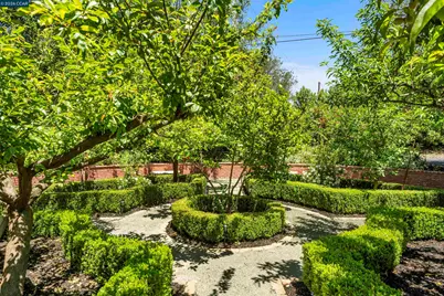 177 Oak Road, Alamo, CA 94507 - Photo 58