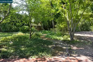 1125 Glen Rd, Lafayette, CA 94549 - Photo 38