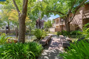 246 Canyon Woods Way, San Ramon, CA 94582 - Photo 78