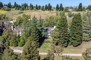 246 Canyon Woods Way, San Ramon, CA 94582 - Photo 84