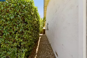 3237 Veracruz Dr, San Ramon, CA 94583 - Photo 52