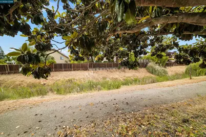 3237 Vera Cruz Dr, San Ramon, CA 94583 - Photo 42