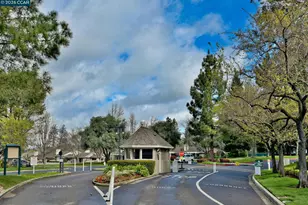 583 Rolling Hills Ln, Danville, CA 94526 - Photo 32