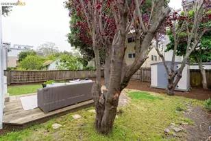 408 Cornell Ave, Albany, CA 94706 - Photo 22