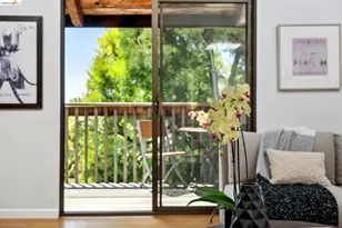 1340 Henry St, Berkeley, CA 94709 - Photo 8