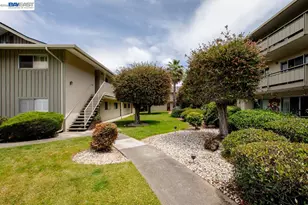 339 Broadway, Alameda, CA 94501 - Photo 60