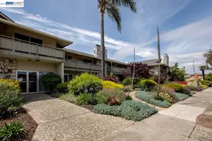 339 Broadway, Alameda, CA 94501 - Photo 24
