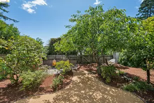 734 Keeler Ave, Berkeley, CA 94708 - Photo 36