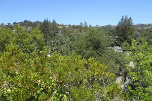 3690 Sundale, Lafayette, CA 94549 - Photo 6