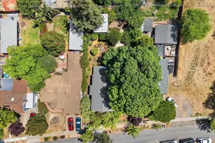 246 Wellington Ave, Concord, CA 94520 - Photo 66