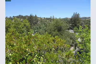 3692 Sundale, Lafayette, CA 94549 - Photo 6