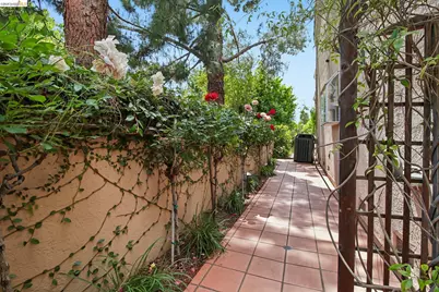 1251 Canyon Side Ave, San Ramon, CA 94582 - Photo 14