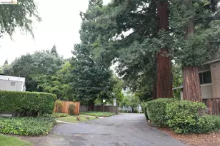 1055 San Ramon Valley Blvd, Danville, CA 94526 - Photo 40