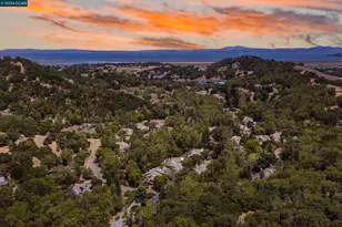 28 Curlew Way, Novato, CA 94949 - Photo 40