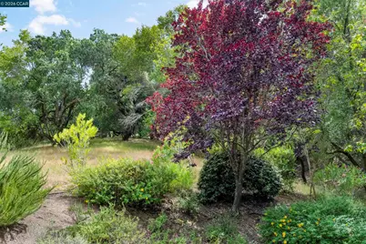 28 Curlew Way, Novato, CA 94949 - Photo 32