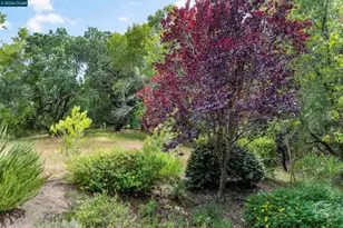 28 Curlew Way, Novato, CA 94949 - Photo 32