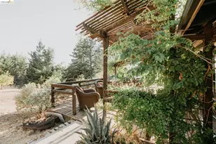 49100 Wickersham Rd, Geyserville, CA 95441 - Photo 14