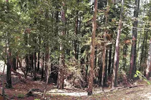 49100 Wickersham Rd, Geyserville, CA 95441 - Photo 48