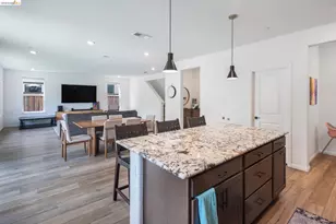 204 Wooley Creek Way, Brentwood, CA 94513 - Photo 24