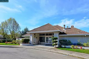 317 Fontaine Dr, Danville, CA 94506 - Photo 38