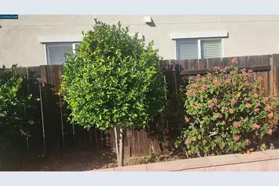 2104 Truman Lane, Oakley, CA 94561 - Photo 36