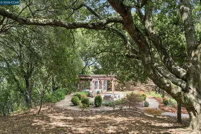 41 Kellie Ann Court, Orinda, CA 94563 - Photo 44