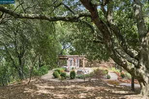 41 Kellie Ann Ct, Orinda, CA 94563 - Photo 44