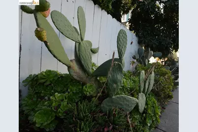 -0- 8th St, Oakland, CA 94607 - Photo 56