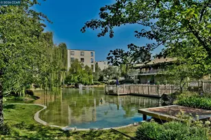 470 Civic Dr, Walnut Creek, CA 94596 - Photo 40