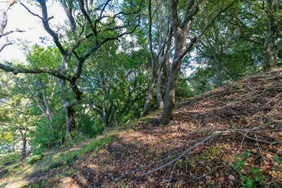 20 Lucille Way, Orinda, CA 94563 - Photo 6