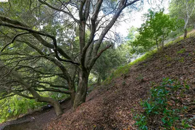 20 Lucille Way, Orinda, CA 94563 - Photo 4