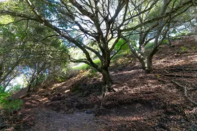 20 Lucille Way, Orinda, CA 94563 - Photo 1