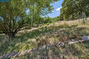 486 Butterfield Pl, Moraga, CA 94556 - Photo 48
