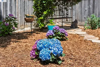 1501 8th St, Alameda, CA 94501 - Photo 56