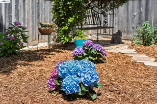 1501 8th St, Alameda, CA 94501 - Photo 56