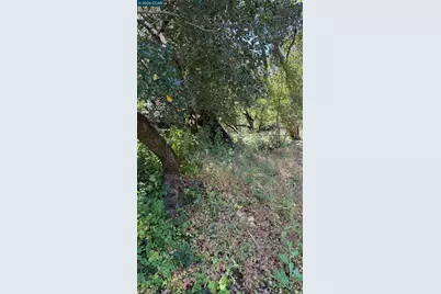 [Address not provided], Orinda, CA 94563 - Photo 2