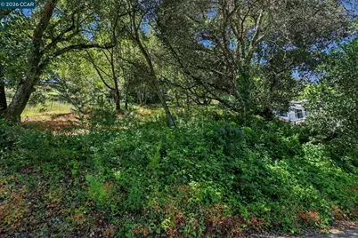 46 Oak Rd, Orinda, CA 94563 - Photo 4