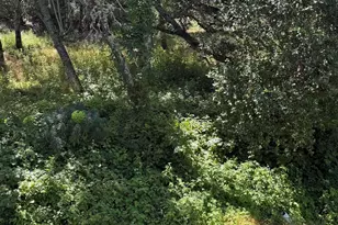 [Address not provided], Orinda, CA 94563 - Photo 1
